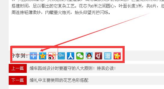 1553667078915845.jpg 1470389230943162.jpg